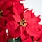 19" Artificial Poinsettia Arrangement in Red Wrapped Planter